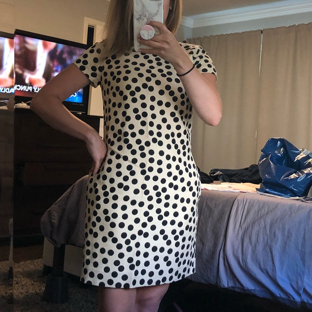 J Crew Scattered Shift Dress- Great condition!
